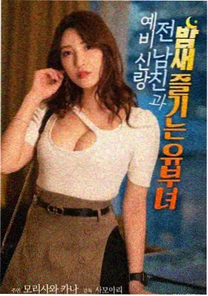 夜行动物